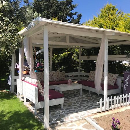 Arsipel Otel بوزجادا المظهر الخارجي الصورة