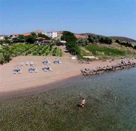 Arsipel Otel بوزجادا المظهر الخارجي الصورة